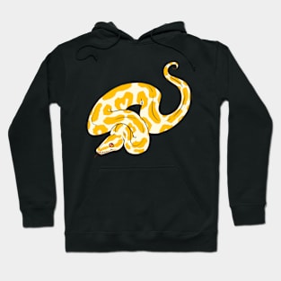 Albino Ball Python Hoodie